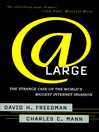 At Large (eBook): The Strange Case of the World's Biggest Internet Invasion